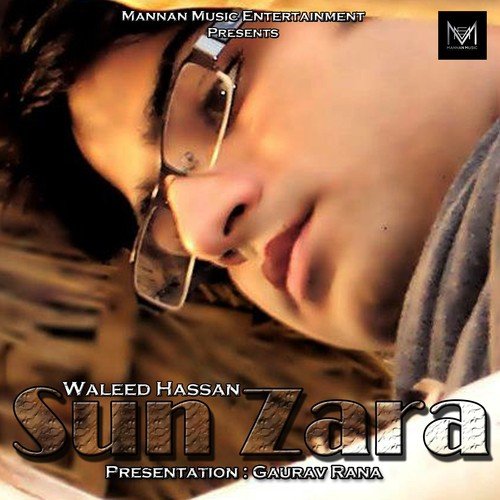 Waleed Hassan Songs MP3 Download